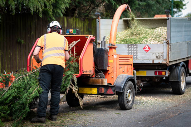 Lawn Grading and Leveling in Sleepy Hollow, CA