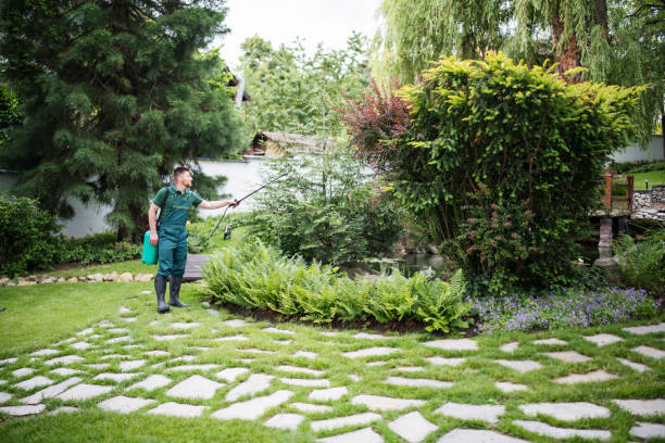 Leaf Removal in Sleepy Hollow, CA